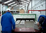 1400 sztuk / h Automatyczna maszyna do produkcji kartonu z jajek / Taca z owocami Formowana pulpa