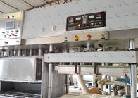 Maszyna do produkcji formowanej pulpy papierowej do łatwej obsługi linii produkcyjnej Ecowares