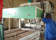 Automatyczna tłokowa maszyna do produkcji makulatury na jaja do linii do produkcji opakowań elektronicznych