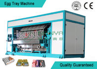 Fashion Paper Rotary Tray Egg Machine 6000 sztuk / H Maszyna do formowania tacek na jajka