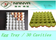 Biodegradowalne produkty formowane z pulpy Jednorazowa tacka na jajka z 30 wnękami
