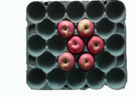 Degradowalne produkty prostokątne z masy papierniczej Taca na owoce z 20 wnękami