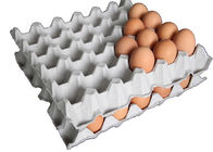 Formy celulozowe miedź 30 wnęk Formy / matryce do jajek