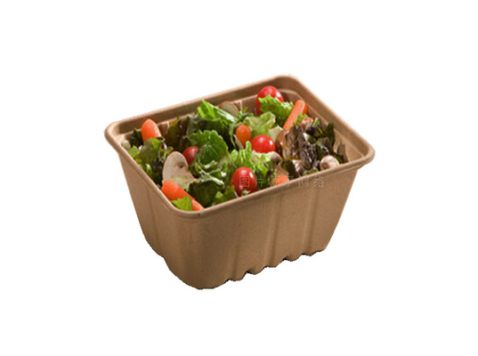 Fast Food Box / Jednorazowa zastawa stołowa Maszyna do suszenia w formie 7000 sztuk / godz