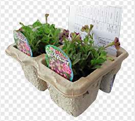 Maszyny do formowania papieru Pulp Egg Carton z jednowarstwową linią suszącą 2800PCS / H