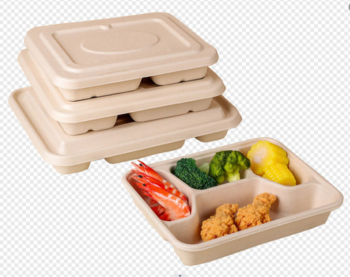 miazga papierowa Lunch Box Maszyna do formowania owalnych misek z automatycznym robotem