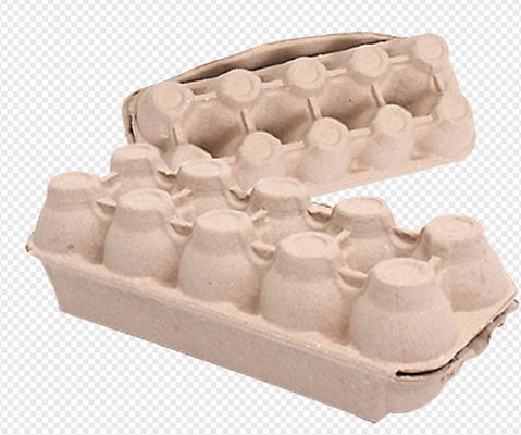 Reciprocating Full Auto Forming Paper Pulp Egg Carton Machine with 2800PCS / H