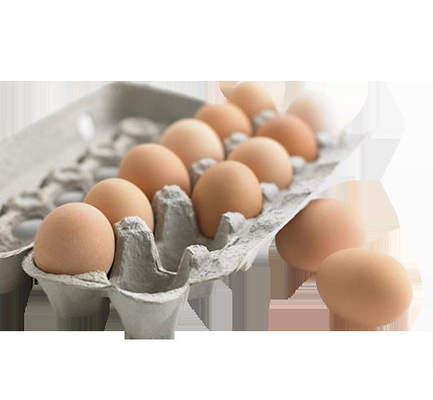 Waste Paper Full Auto Rotating Type Egg Tray Forming Machinery / 5000pcs / h