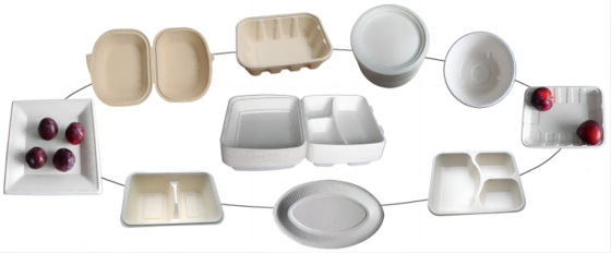 Thermoform Take Away Food Box Plate Making Machine 7000 sztuk / godz