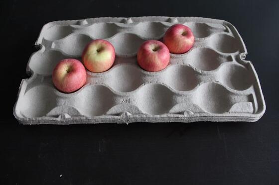 Maszyna do produkcji tacek na jajka o średniej pojemności z suszarką