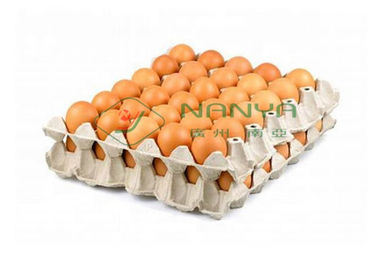 Waste Paper Full Auto Rotating Type Egg Tray Forming Machinery / 5000pcs / h
