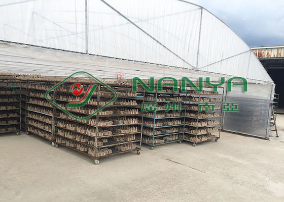 Maszyna do produkcji pulpy o dużej pojemności, linia do produkcji pulpy do formowania jajek 3000 sztuk / h