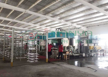 Odporna na wstrząsy linia produkcyjna do produkcji opakowań Pulp Tray Machine