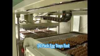 Mała automatyczna maszyna do formowania masy celulozowej do tacy na jajka / mała maszyna do tacki na jajka / 30-pakowana maszyna do tacki na jajka