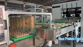 W pełni automatyczna maszyna do produkcji kartonów na jajka / produkcja masowa Taca na jajka / maszyna do produkcji kartonów