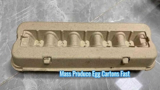 W pełni automatyczna maszyna do formowania masy celulozowej do kartonu na jajka/maszyna do pakowania jajek/kartonu na miazgę na jajka